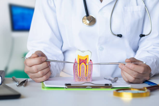 Best Broken or Chipped Tooth Repair in University Heights, OH